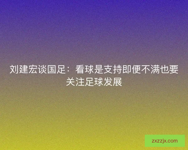 刘建宏谈国足：看球是支持即便不满也要关注足球发展